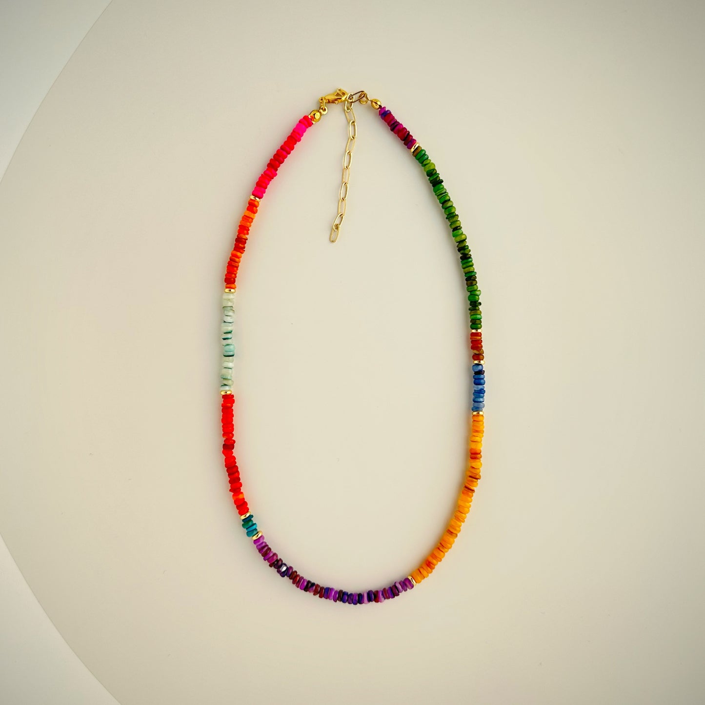 Colorful Seashell Necklace
