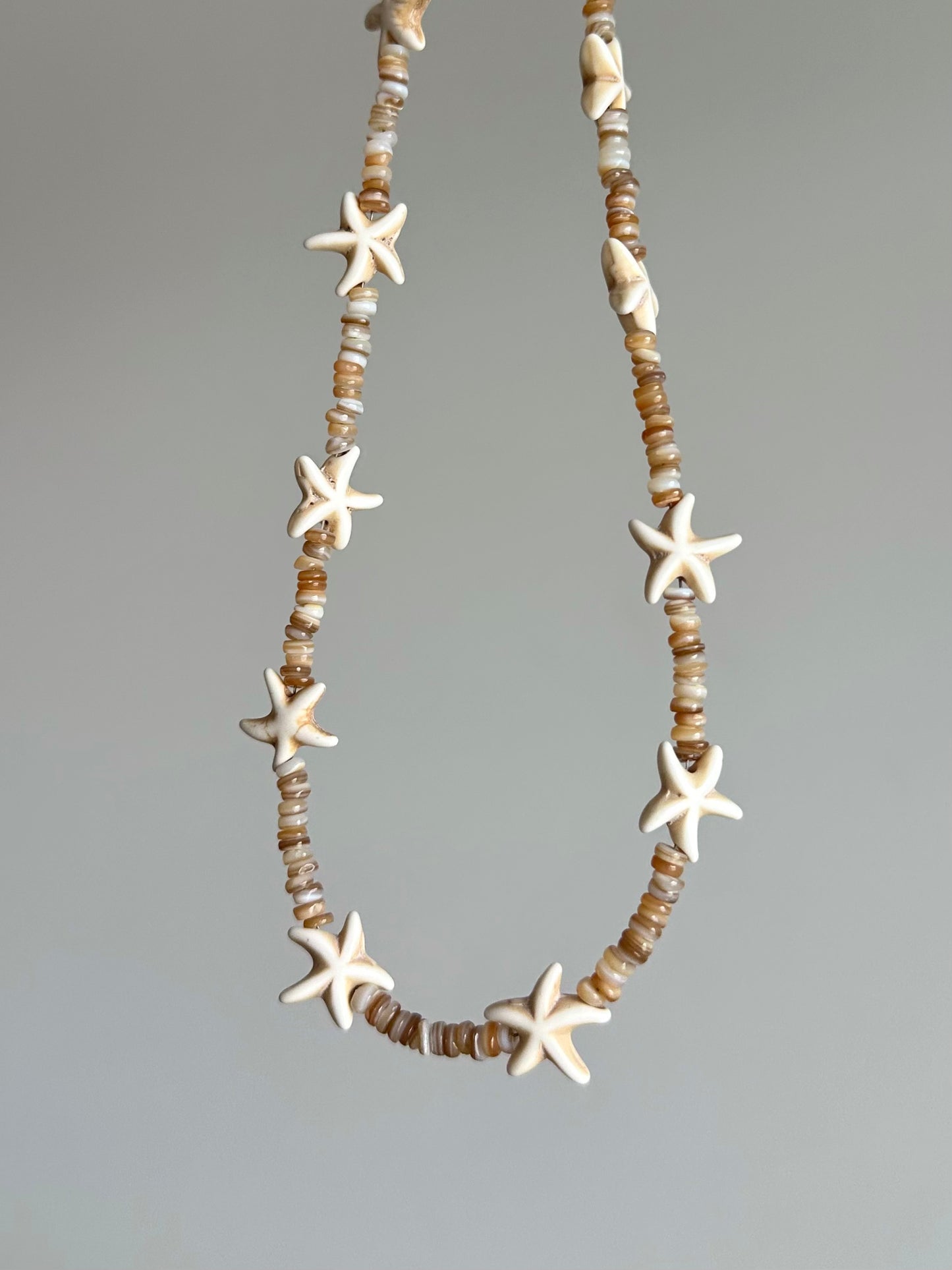 Starfish with Seashell
